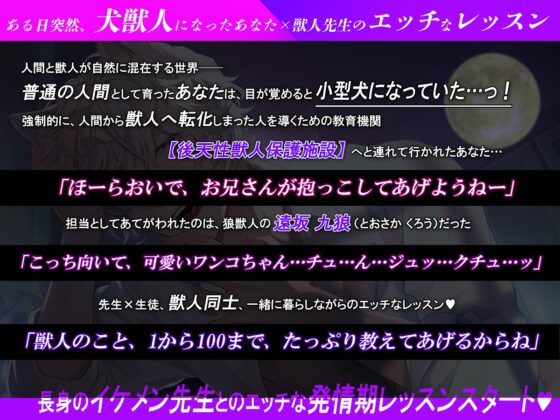 【KU100】銀狼獣人はとろける発情期レッスンで愛を教える [耳Honey] | DLsite がるまに