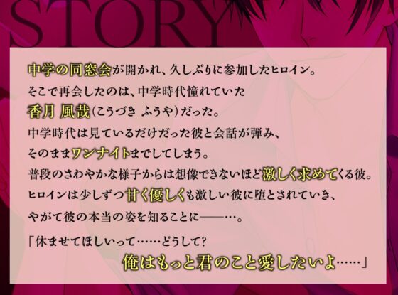 同窓会で再会した彼は執着彼氏 [ジェネリックホルモン] | DLsite がるまに