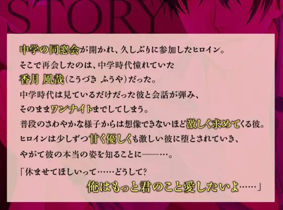同窓会で再会した彼は執着彼氏 [ジェネリックホルモン] | DLsite がるまに