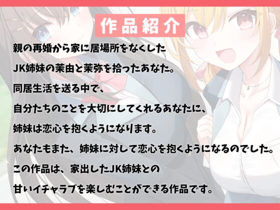 【100作品目/本編200分/7大特典付き】家出したJK姉妹を拾って結婚した話-愛情に飢えてる少女と甘々ハーレムセックス【KU100】 [幸福少女] | DLsite 同人 - R18