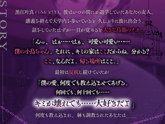 鳥籠ごっこ ～壊れても……大好きだよ～ ≪拉致・監禁・餌付け≫ [咲楽堂♡♡ごっこ] | DLsite がるまに