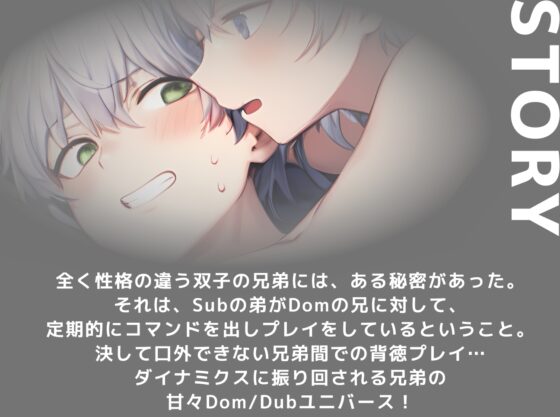 【Dom/Subユニバース】Subの兄がDomの弟にお仕置きされる。〜双子のダイナミクス事情〜 [ひとりでできるもん!] | DLsite がるまに