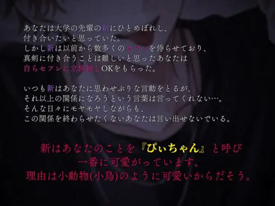 【※あなたはぴぃちゃん※】『超絶ド沼男』～彼女にする気はないのに他の男に取られるのを嫌がる新くん～ [偏愛カタルシス] | DLsite がるまに