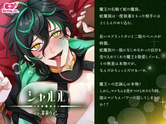 マジちん勇者～俺は勇者の嫁になる!～ [burning ass...]