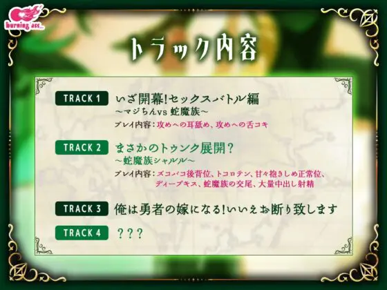 マジちん勇者～俺は勇者の嫁になる!～ [burning ass...] | DLsite がるまに