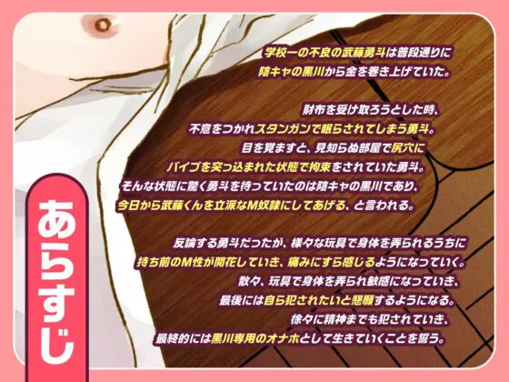 調子乗ってたら陰キャパシリくん専用のメス穴になってました [BRGRACE] | DLsite がるまに