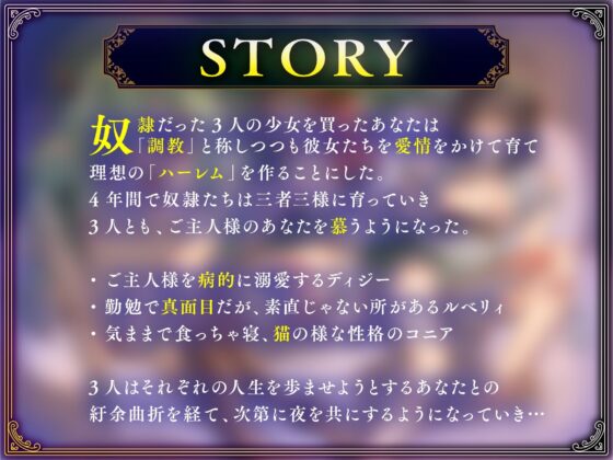 奴○を調教してハーレム作る〜育てた奴○たちと純愛ハーレムHするまでの話〜【音声版】(軒下の猫屋)|FANZA同人