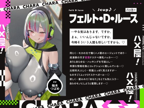 【5/19日まで 早期限定65大特典】【5時間×3人ハーレム×なんでも屋】新米エージェントのボクとドスケベ爆乳女ボス&ハッカー&メイド×3の秘密の子作りハメミッション♪ [マヨタマ] | DLsite 同人 - R18