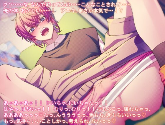 生意気インフルエンサー弟をわからせお仕置き！～ハメ撮りセックスしたら、実は純愛だったことが発覚しました～ [diamant] | DLsite がるまに