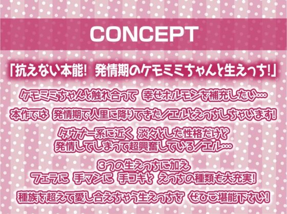 無口ケモミミちゃんと繁殖交尾【フォーリーサウンド】 [テグラユウキ] | DLsite 同人 - R18