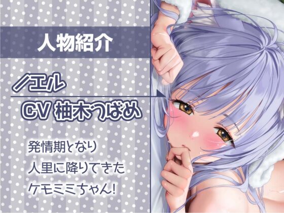 無口ケモミミちゃんと繁殖交尾【フォーリーサウンド】 [テグラユウキ] | DLsite 同人 - R18