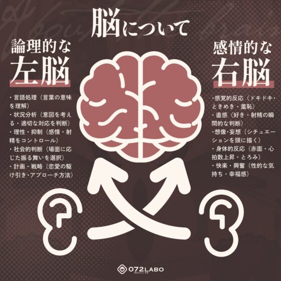 【脳バグ】命令の右耳とドスケベ本心が聞こえる左耳「右耳左耳右脳左脳」〜とても厳しい射精管理官★低音ボイスお姉さんの本音〜【射精管理官の本音】 [072LABO] | DLsite 同人 - R18