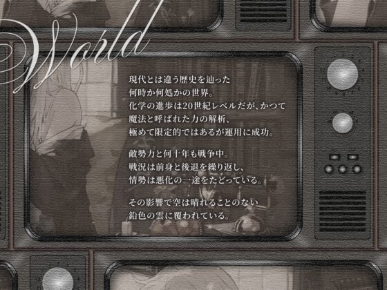 【シリアス×あまあま】戦う事でしか自分の価値を確かめられなかった女の子が 年相応でちょっとだけポンコツなタダの女の子に堕ちるまで [黒月商会] | DLsite 同人 - R18