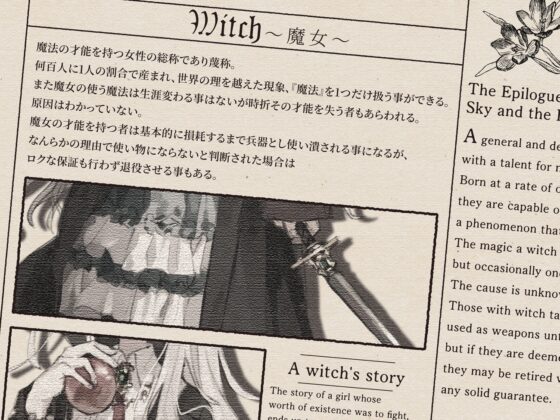 【シリアス×あまあま】戦う事でしか自分の価値を確かめられなかった女の子が 年相応でちょっとだけポンコツなタダの女の子に堕ちるまで [黒月商会] | DLsite 同人 - R18