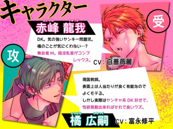 -常識改変-異常な日常 [生意気ヤンキー1ヶ月間犯し放題]【ボイスドラマ版】 [KZentertainment] | DLsite がるまに