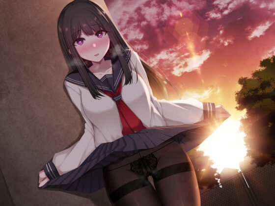 清楚系先輩JKは、裏で僕と毎日オホ声中出しセックスをしている。〜実はマゾなよわよわマンコといつでも生ハメえっち〜(どぐまぱにっく)｜FANZA同人