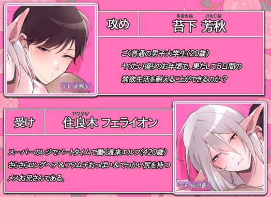 同棲中のエルフの(メス)お兄さんとポリネシアンセックス【ボイス版】 [すたじおえるふ] | DLsite がるまに