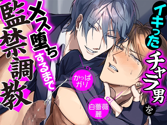 イキったチャラ男をメス堕ちするまで監禁調教 [KZentertainment] | DLsite がるまに