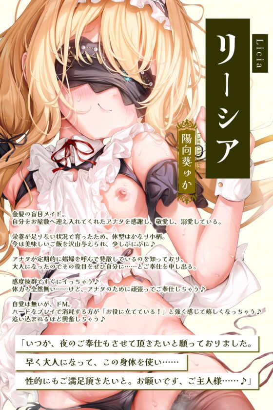 ✨金髪盲目メイドの溺愛ご奉仕✨～嫌がらずに何でもやってくれるラブ媚び癒やしの妊娠交尾～《‼️豪華4大早期購入特典‼️》 [スタジオりふれぼ] | DLsite 同人 - R18