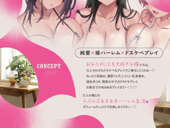 JK嫁ハーレム～ドスケベJK嫁と日替わり生ハメ同居性活～ [ラムネ屋] | DLsite 同人 - R18