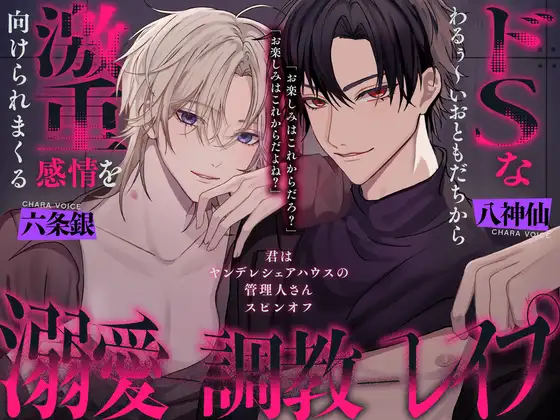 わるぅ〜いお兄さん達から激ヤバ感情を向けられる溺愛絶倫レ○プ〜君はヤンデレシェアハウスの管理人さんスピンオフ〜 [幽閉Lovers] | DLsite がるまに