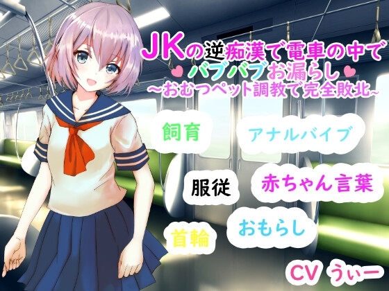 JKの逆痴漢で電車の中でバブバブおもらし～おむつペット調教で完全敗北～ [にゅーくりーむどりーみー] | DLsite 同人 - R18