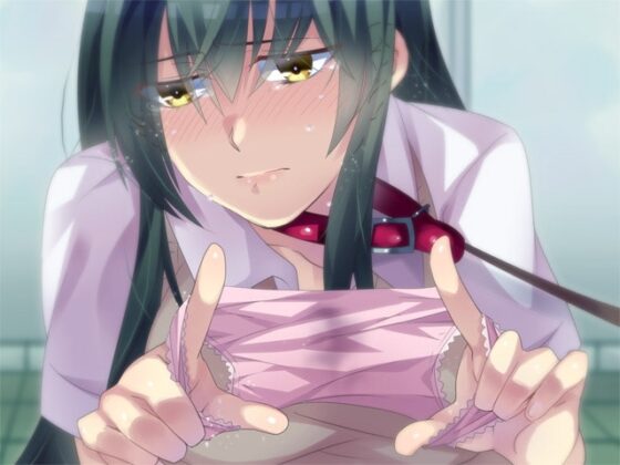 マゾな姉はボクのペット [Aボイス] | DLsite 同人 - R18