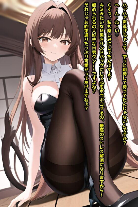 罵倒地獄3～キミみたいなドMはサンドバッグにしてもいいよね?～ [エムのアトリエ] | DLsite 同人 - R18