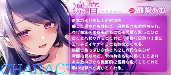 背徳感たっぷり！母性溢れる優しい年上男の娘に身も心も甘〜くトロけそうなくらいに可愛がられちゃうあなた☆男姉ちゃんがキミの知らない世界に連れて行ってあげる♪(夢色パラダイス) - FANZA同人