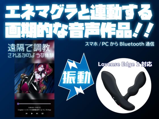 【Lovenseエネマグラ連動】メスイキ奴隷リモート養成所 [最悪技研] | DLsite 同人 - R18