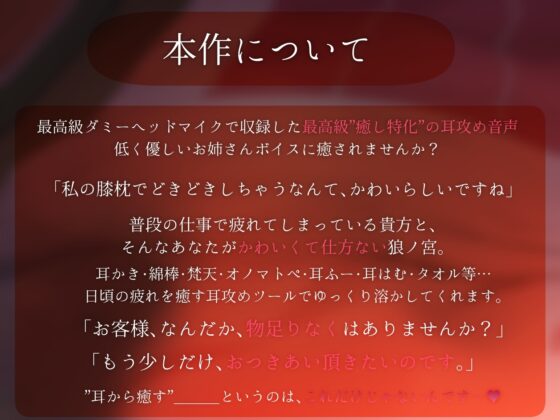 耳恋 低音女子にガチ恋不可避甘々ご奉仕耳奥攻め記録～ろのみやひなぎくのばあい～ [ひなぎく亭] | DLsite 同人 - R18