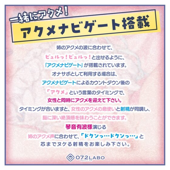 「フラれて落ち込みが激しいので姉ちゃんに相談してマンコで慰めてもらった」姉のオマンコ7〜姉弟だから大丈夫〜【アクメナビゲート搭載】 [072LABOプッシー] | DLsite 同人 - R18