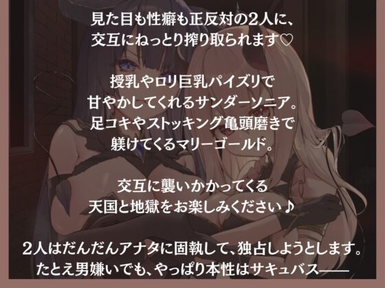 落第淫魔の甘々搾り合い補習〜男嫌いの無慈悲な搾精→ラブえち奉仕!道具扱いされてたけど本気で愛されちゃって口や爆乳や未使用おまんこで奪い合いがはじまる〜 [甘々と毒々] | DLsite 同人 - R18