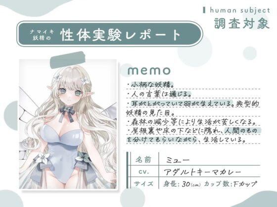 ナマイキ妖精の性体実験レポート [安心安全ボコボコ委員会] | DLsite 同人 - R18