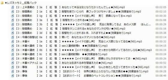 マリアの催眠another[魔護女神社の淫乱巫女] & レズえっち2拡張パック [風呂井戸ソフト] | DLsite 同人 - R18