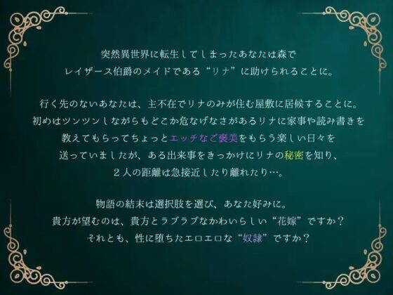 【処女作】異世界でツンツンしたメイドを俺に従順な奴隷にするまで [ぱられるわあるど] | DLsite 同人 - R18