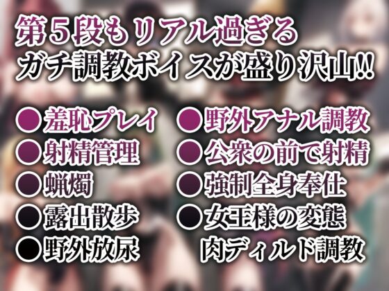 女王様図鑑 変態M男向けボイス集 Vol.5 [Aphrodite] | DLsite 同人 - R18