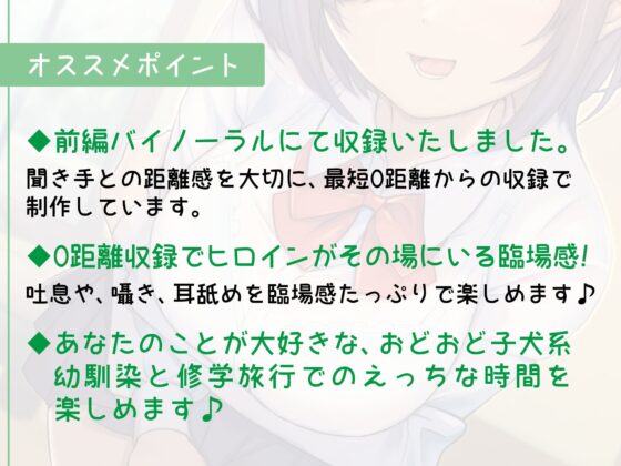 修学旅行中におどおど子犬系幼馴染でたっぷり性欲処理をする話～自分のことを”王子”と呼んでくるちびっ子メカクレ爆乳幼馴染～ [Sweet Princess] | DLsite 同人 - R18