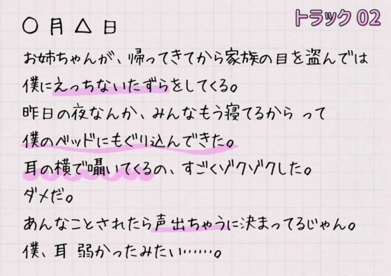 すけべ日記 おねえちゃん編 [変態実行ファイル] | DLsite 同人 - R18