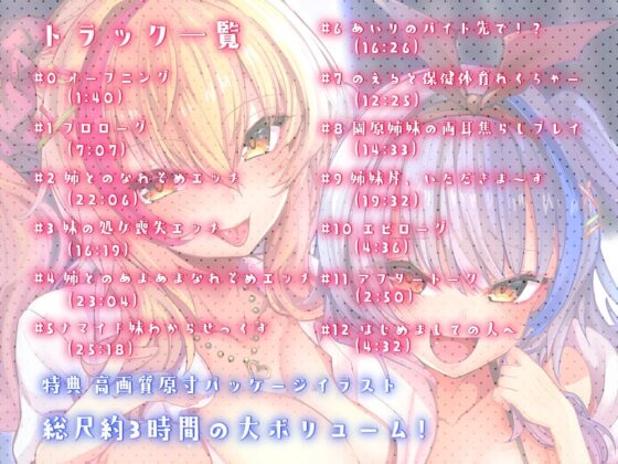 【期間限定20%OFF/たっぷり約3時間!】いちゃパコ姉妹丼～ギャル&メスガキ姉妹とドスケベ性活～【KU100使用】 [PINK PUNK PRO] | DLsite 同人 - R18