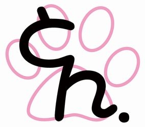 ぶいえすサキュバス! -淫乱サキュバスに蹂躙されちゃった勇者サマ- [サークルSBD] | DLsite 同人 - R18