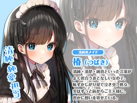 淫乱×純愛！ヤリマンメイドと清純派メイドのエッチなご奉仕タイム(ふぃーるあっぷ♪) - FANZA同人