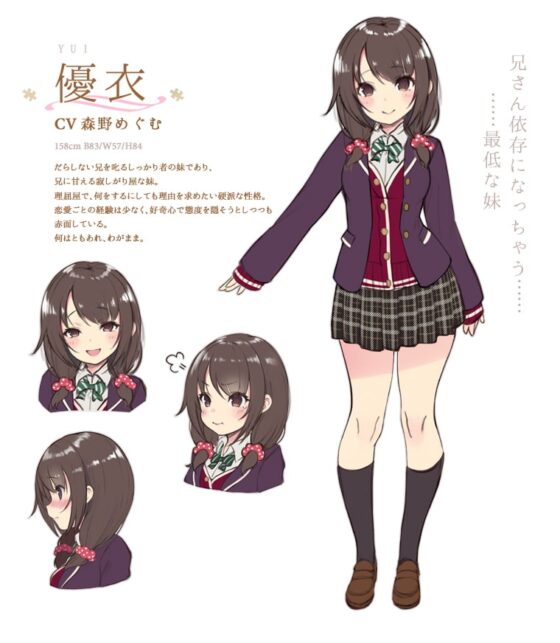 しっかり者の妹と過ごす性的な一ヶ月 つづき+日常 特装セット [妄想研究所] | DLsite 同人 - R18