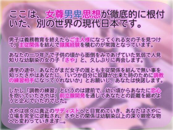 小動物系後輩女子さやの先輩メスイキ奴●化計画(ヒット&アウェイ) - FANZA同人