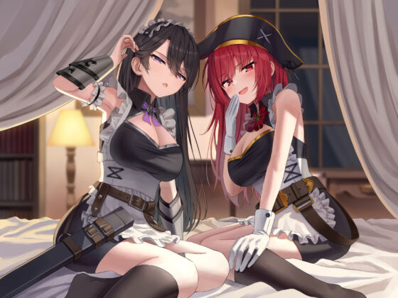 【奴●化魔法】メス〇キ海賊＆ダウナー女騎士のオホ堕ちご奉仕日誌【低音甘オホ】(脳とりがー) - FANZA同人