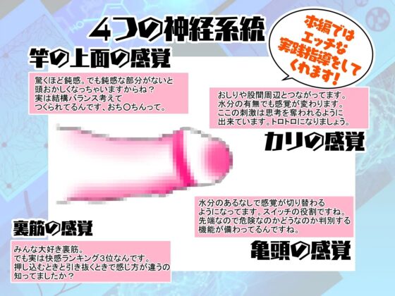 【徹底!快感解説型オナニーサポート】神経オナニー・メソッド [おかしのみみおか] | DLsite 同人 - R18