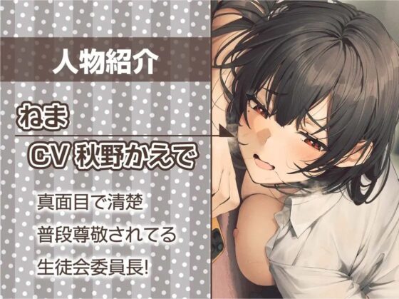 清楚で下品な生徒会委員長【フォーリーサウンド】 [テグラユウキ] | DLsite 同人 - R18