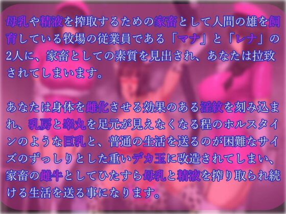 【乳首&前立腺同時責め】冷徹双子飼育員の搾乳用デカ乳雌牛化改造(ヒット&アウェイ) - FANZA同人