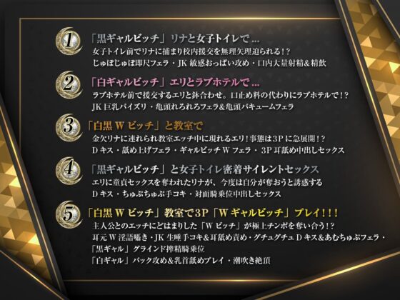 ギャルはめ！おまんこパラダイス！〜白黒ビッチがあなたのちんぽを取り合う神展開！？〜【KU100/バイノーラル】(SomaliStudio) - FANZA同人