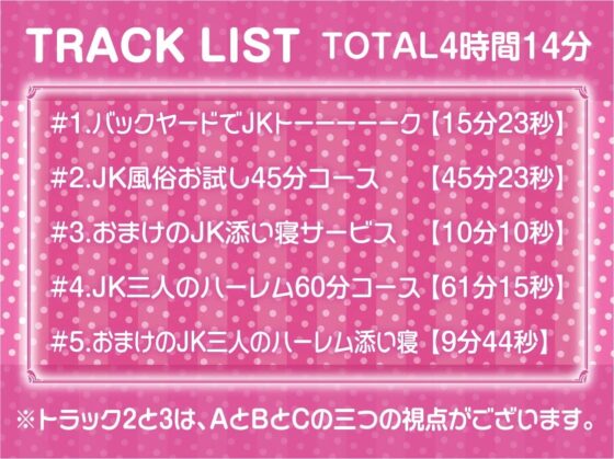 ナマイキJKとリアルタイムセックス!～時間いっぱい中出ししホーダイ～【フォーリーサウンド】 [テグラユウキ] | DLsite 同人 - R18